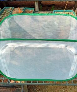 Mini Tent Greenhouse For Peyotes