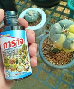 Garag cactus protection 100cc